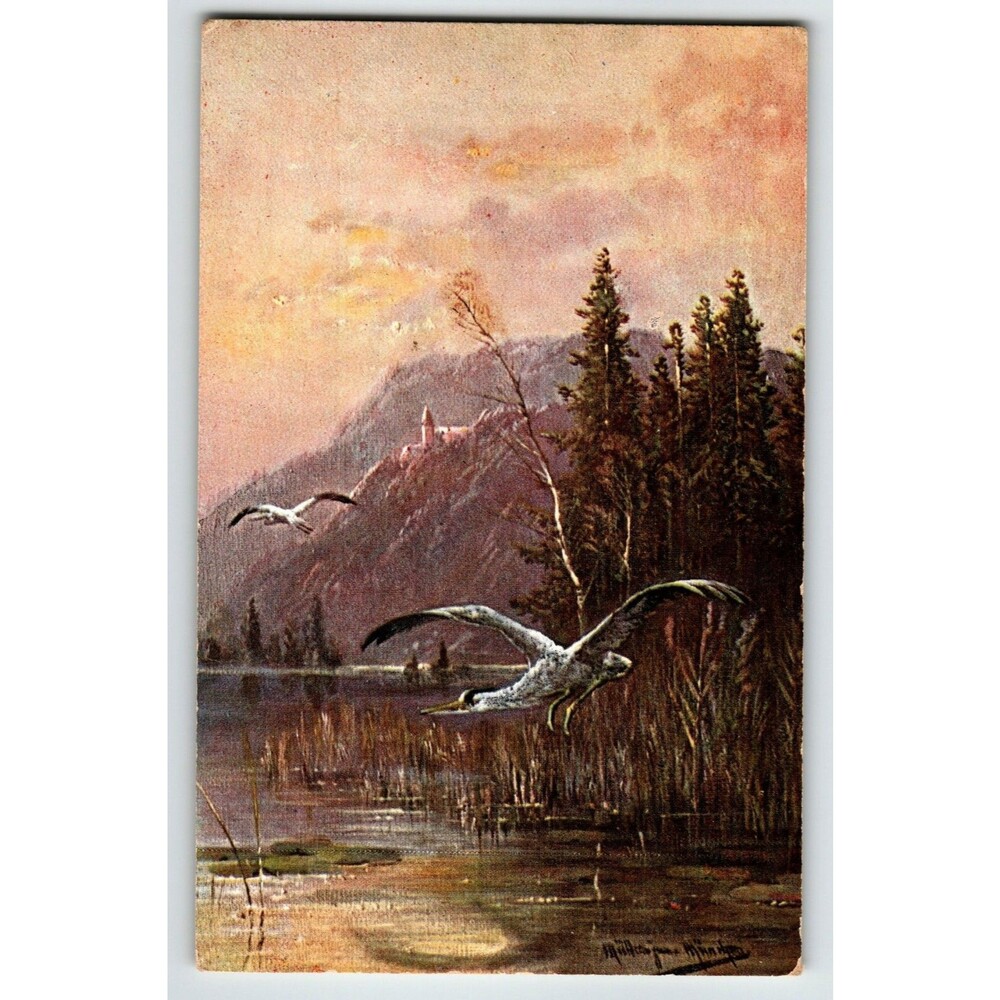 Postcard Wildlife Bird Herons Lake Mountains Artist Signed Muller Germany HK & M